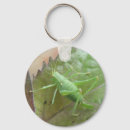 Search for cricket keychains Green