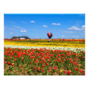 Recherche de ballons rouges posters Toute personne