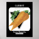 Recherche de de carottes posters Illustration