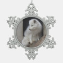 Recherche de renard arctique ornements Sauvage