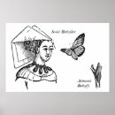 Search for large butterfly posters Nature