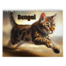 Search for bengal cat calendars Animal