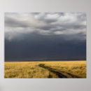 Search for plain posters Kenya