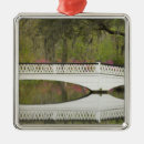 Search for south carolina state ornaments White