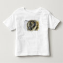 Search for honeybee tshirts Insect