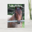 Search for mare cards Horses