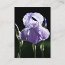 Recherche de iris cartes visite Nature
