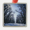 Search for park city ornaments Tree