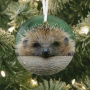 Search for hedgehog ornaments Animal