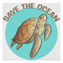 Search for friendly turtle Marine life