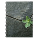 Search for the natural world notebooks Photographic studies