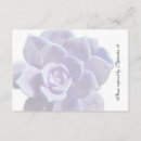 Recherche de poule et poussins invitations Succulent