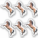 Search for white stallion stickers Animal