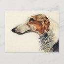 Search for veterinary reminder postcards Dogs