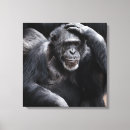 Search for chimpanzees art Nature
