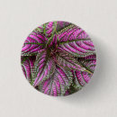 Recherche de persan badges Feuille