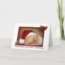 Search for maine coon cat christmas cards Pet