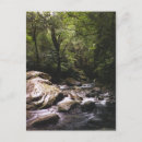 Search for latin america postcards Rainforest