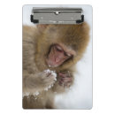 Search for japanese clipboards Animal