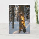 Search for winter frost cards Forest