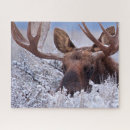 Search for grand teton national park puzzles Wyoming