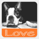 Search for boston terrier dog stickers Puppies