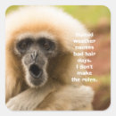 Search for funny monkey stickers Ape