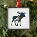 Search for moose ornaments Hiking