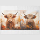 Search for cow tissue paper Highland