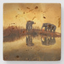 Search for elephant coasters Mammal