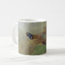 Search for pheasants mugs Nature