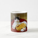 Search for american shorthair cat mugs Kitten