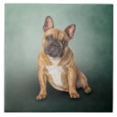 Search for dog breeds tiles Canine