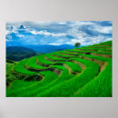 Search for chiang mai posters Landscape