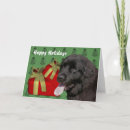 Search for newfoundland dog cards Cute