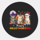 Search for thanksgiving cat stickers Spooky