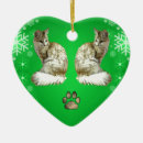 Search for turkish ornaments Cat