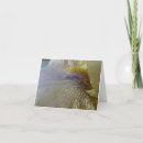 Search for bearded cards Photography