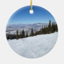Search for aspen colorado ornaments Rockies