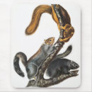 Recherche de peinture chat tapis souris Faune