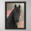 Recherche de friesian posters Cheval