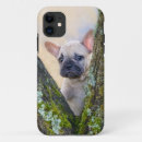 Search for cute bulldog iphone cases Funny