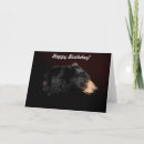 Search for black bear birthday cards Bears