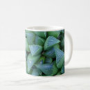 Search for green plant mugs Photography