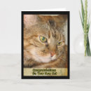 Search for new cat congratulations cards Kitty