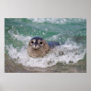 Search for frank ocean posters Danita delimont