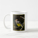 Search for waxwing mugs Cedar