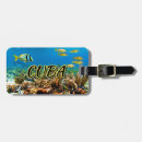 Search for coral reef Travel