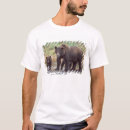 Search for grizzly bear tshirts Usa