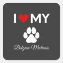 Search for belgian malinois stickers Puppy
